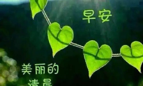 请问亢奋是啥意思-亢奋有什么症状-专业亢奋有什么症状和表现平台-什么是性亢奋有什么症状